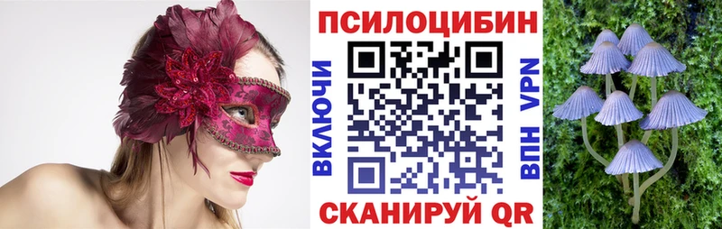 Псилоцибиновые грибы GOLDEN TEACHER  Кингисепп 
