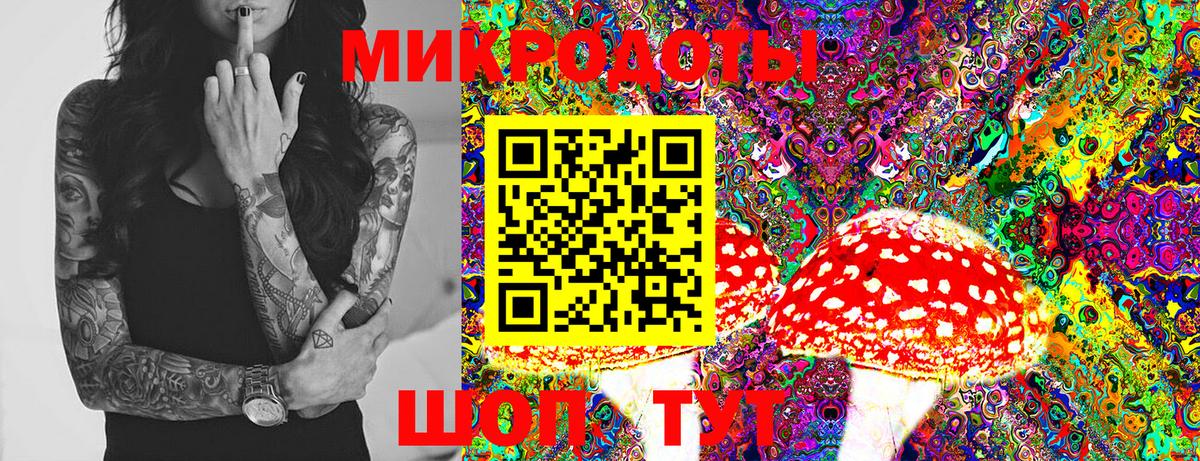 Псилоцибиновые грибы Magic Shrooms Кингисепп