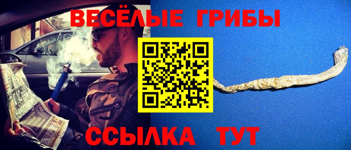 Каннабис  Cocaine  Кетамин  Кингисепп  ГАШ  Вход с VPN  Мефедрон кристаллы 